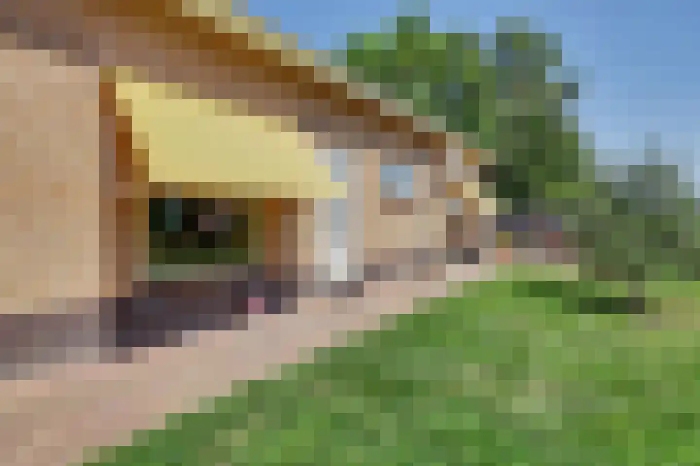 Boomweg 15 a Rockanje thumbnail 28
