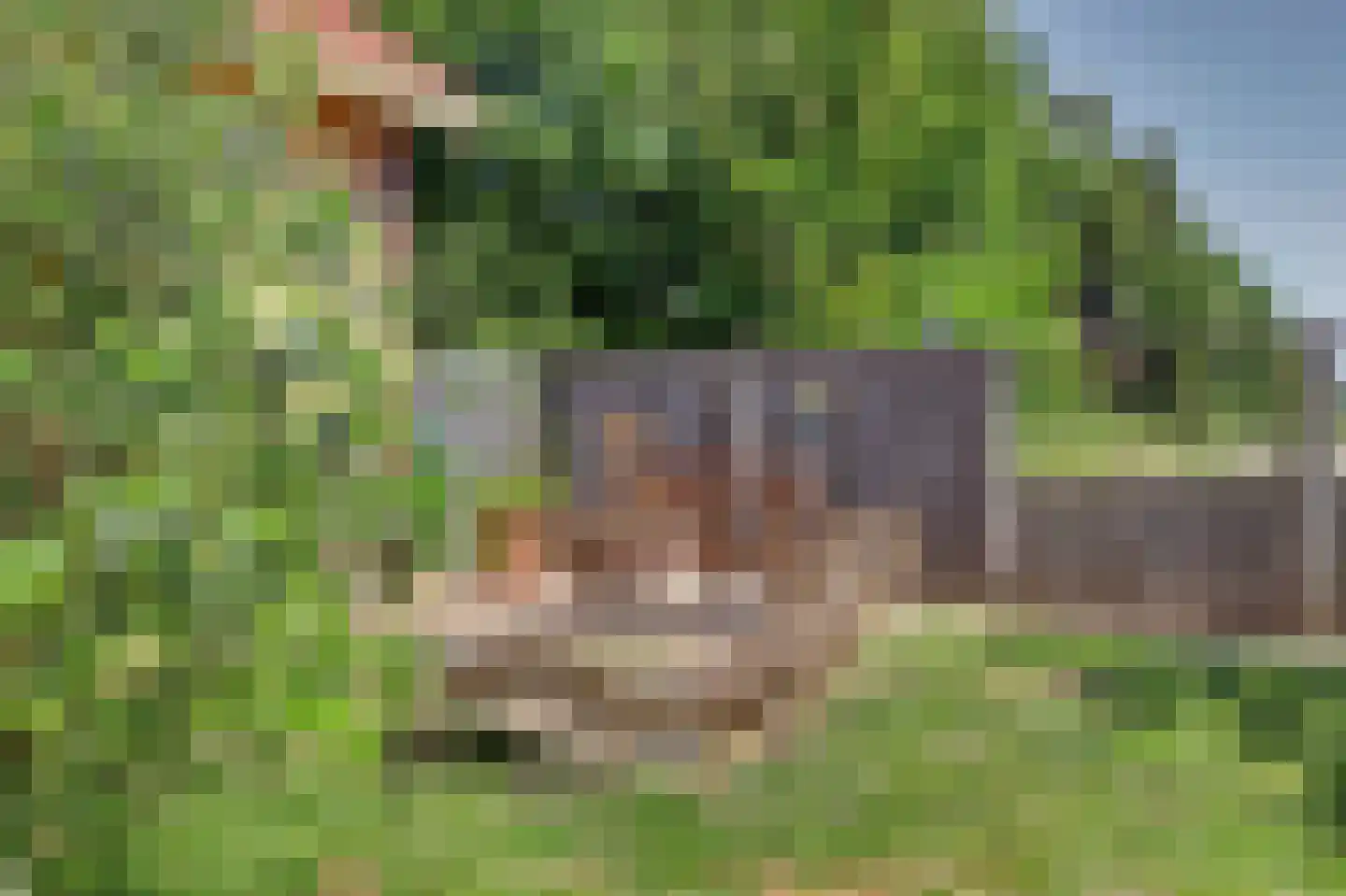 Boomweg 15 a Rockanje thumbnail 33