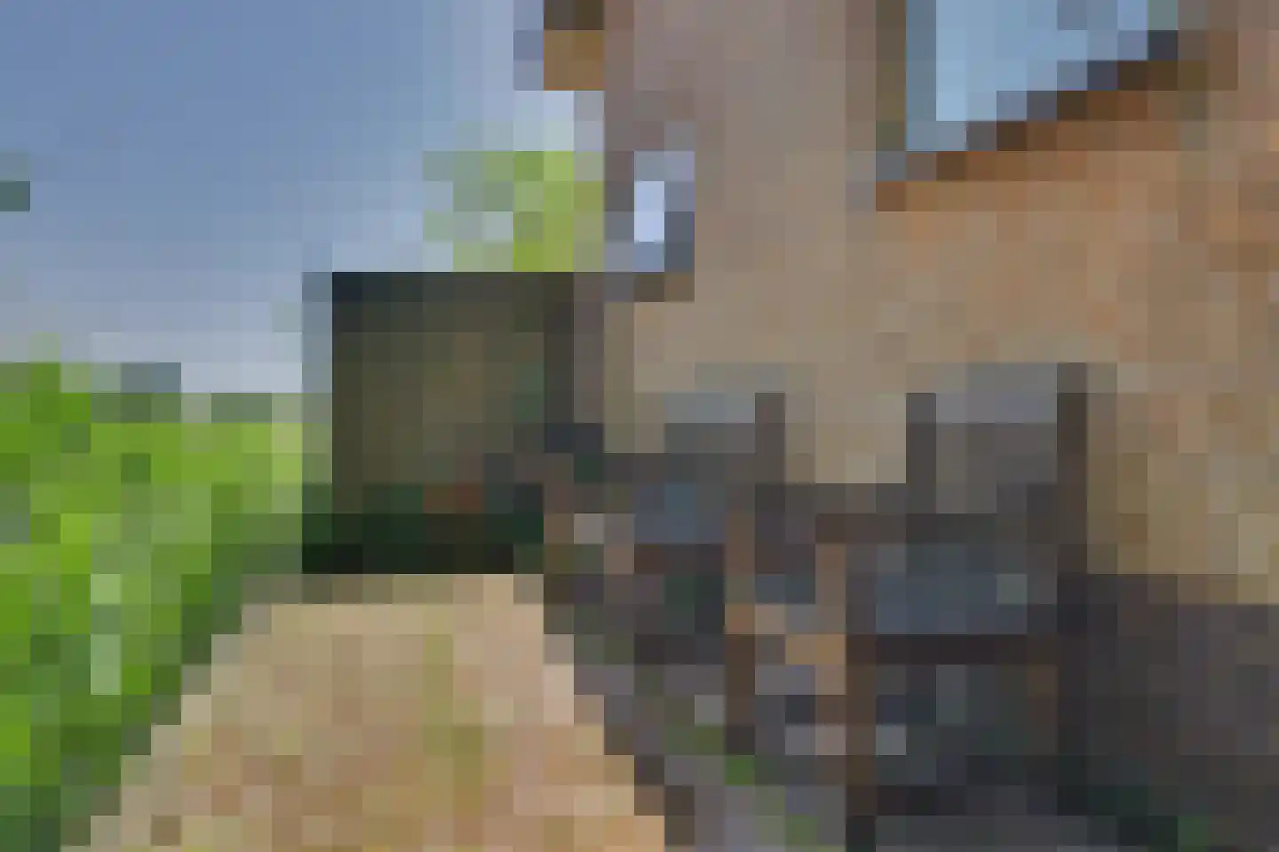 Boomweg 15 a Rockanje thumbnail 39