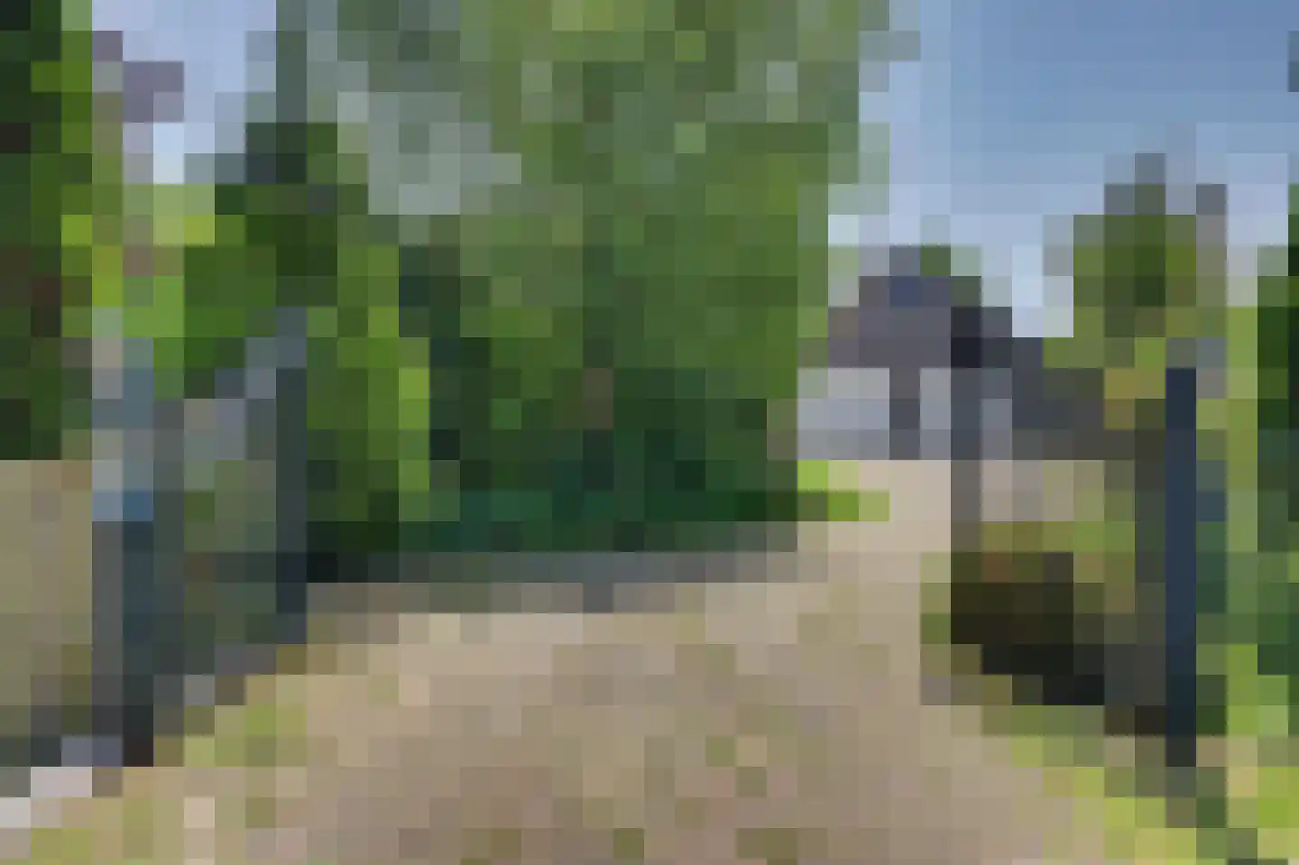 Boomweg 15 a Rockanje thumbnail 4
