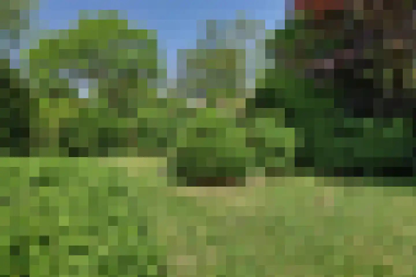 Boomweg 15 a Rockanje thumbnail 43