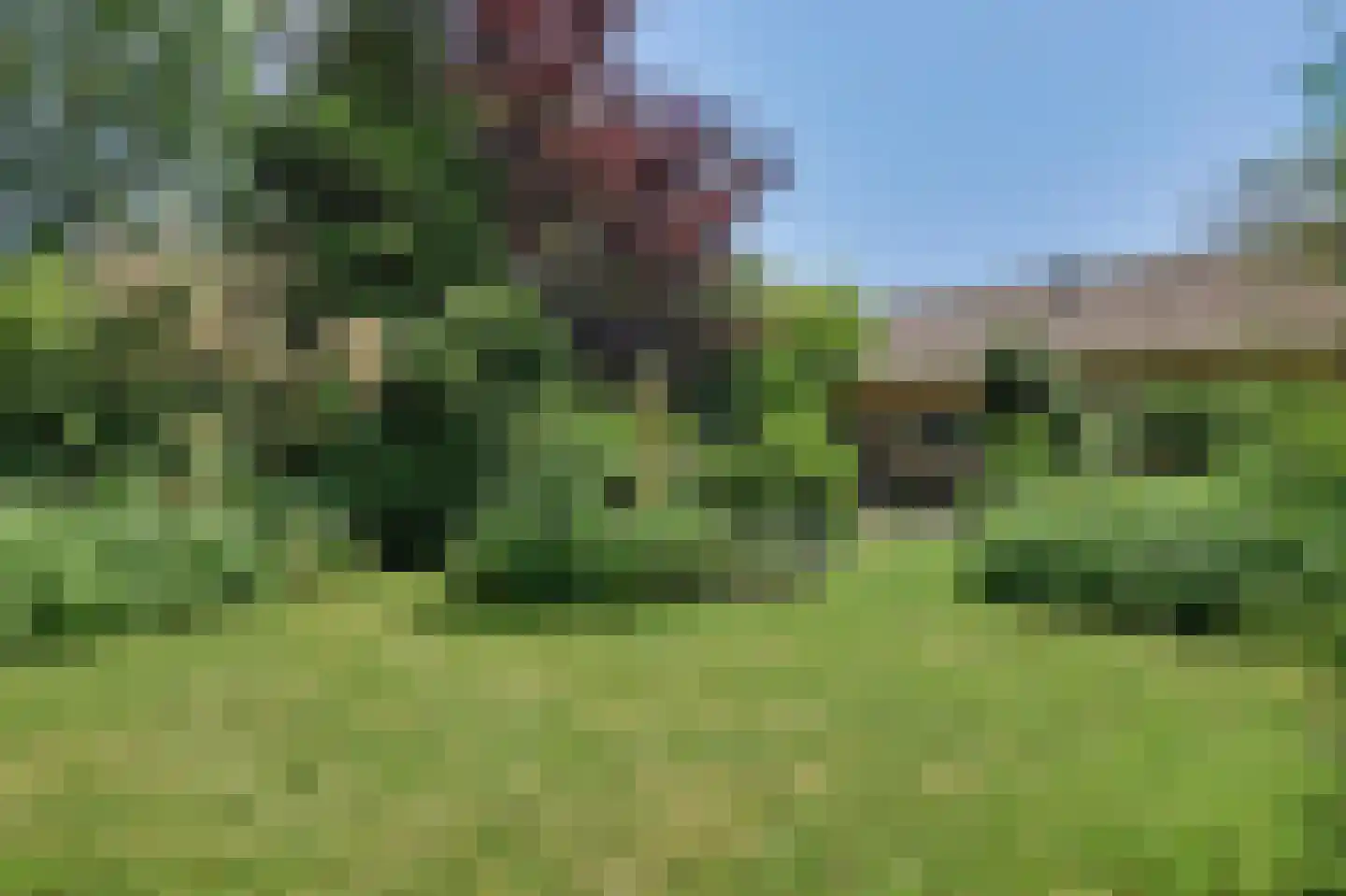 Boomweg 15 a Rockanje thumbnail 45