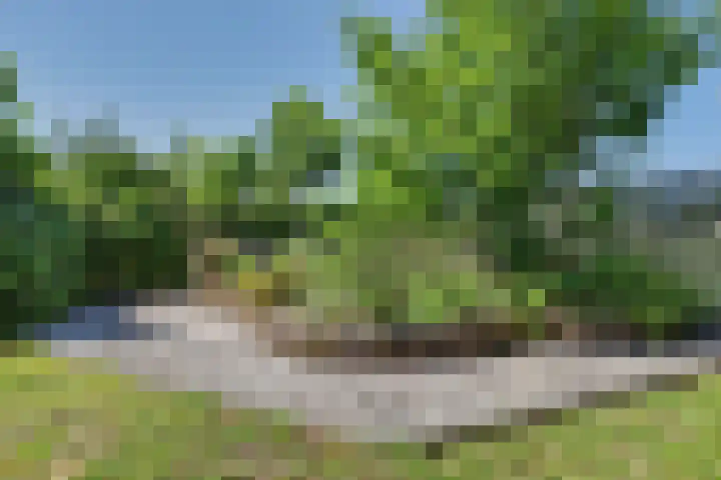 Boomweg 15 a Rockanje thumbnail 47