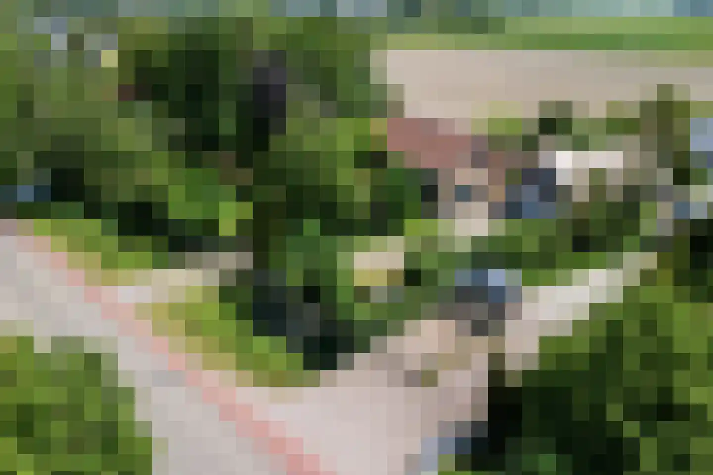 Boomweg 15 a Rockanje thumbnail 50