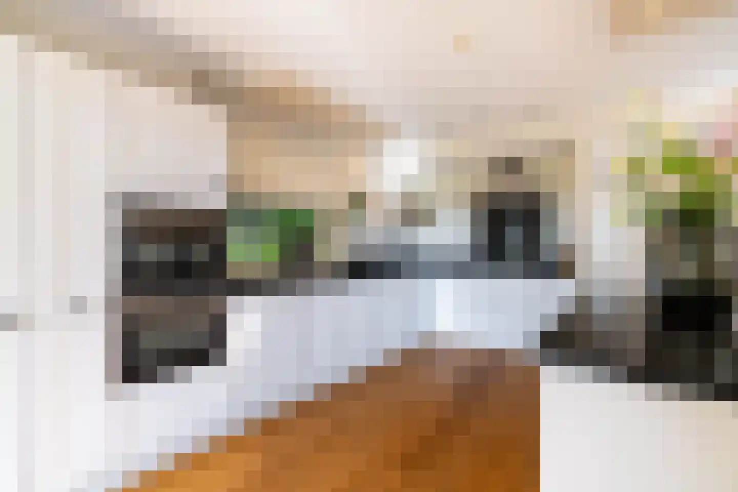 Boomweg 21 Rockanje thumbnail 22