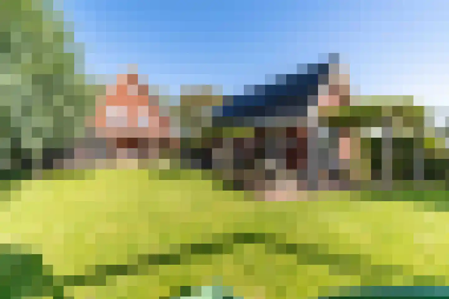 Boomweg 21 Rockanje thumbnail 4