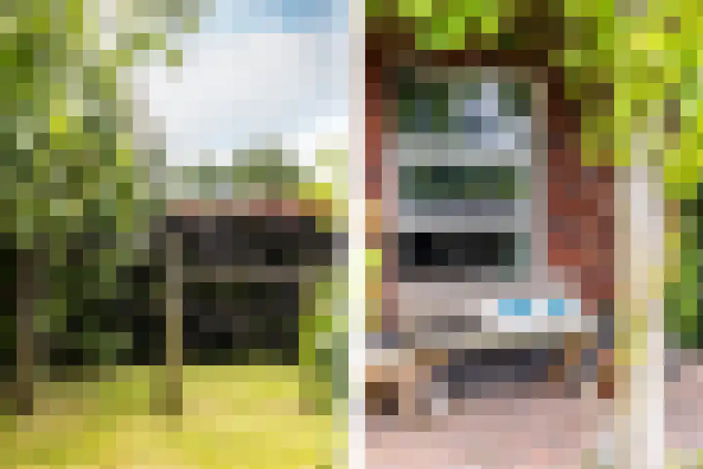 Boomweg 21 Rockanje thumbnail 51