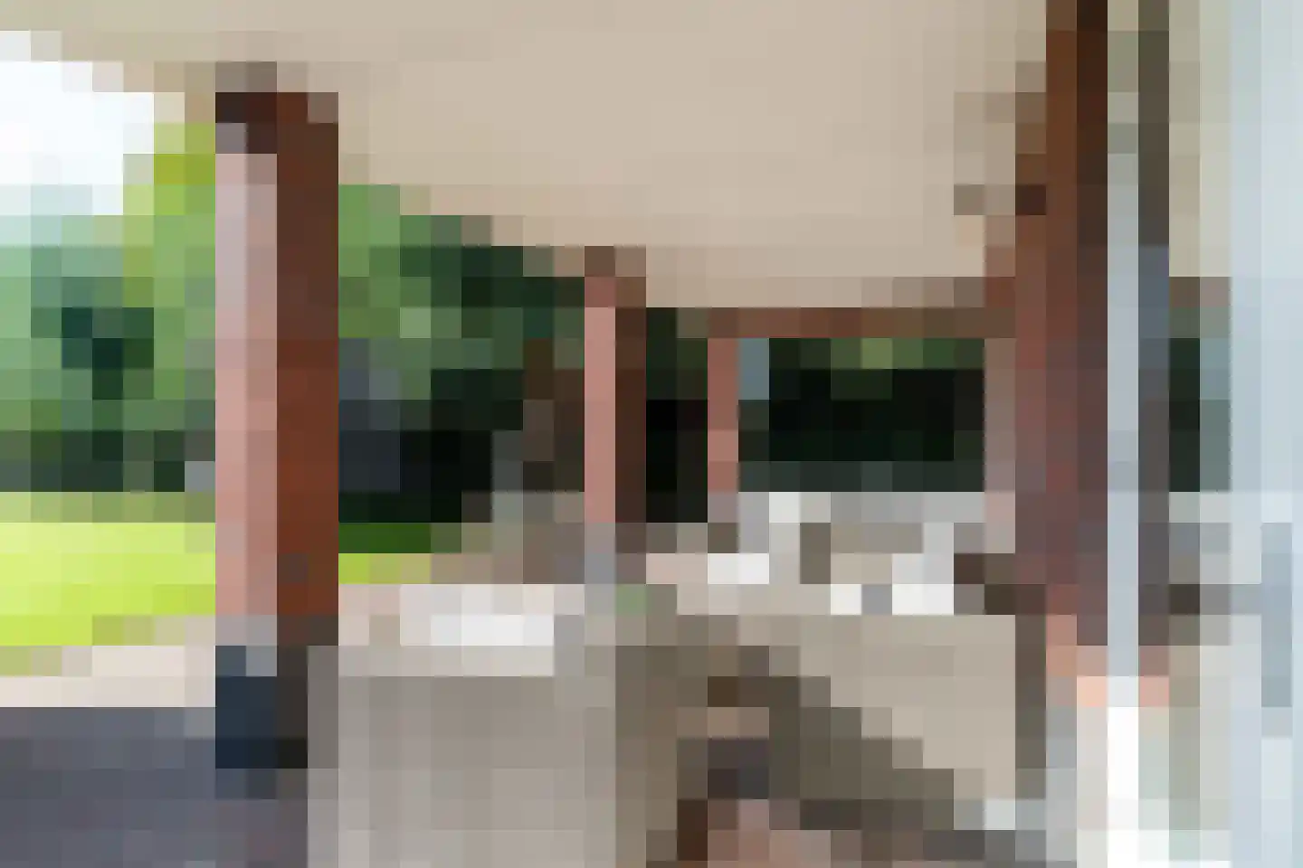 Boomweg 21 Rockanje thumbnail 53