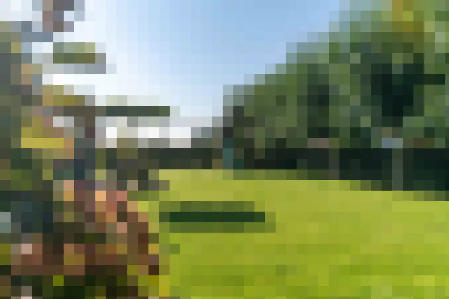 Boomweg 21 Rockanje thumbnail 56