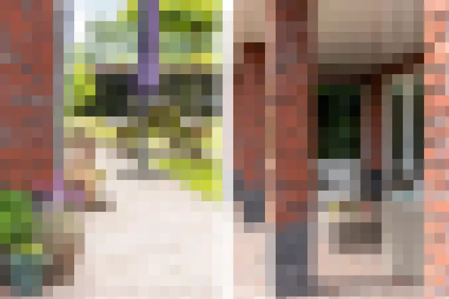 Boomweg 21 Rockanje thumbnail 56