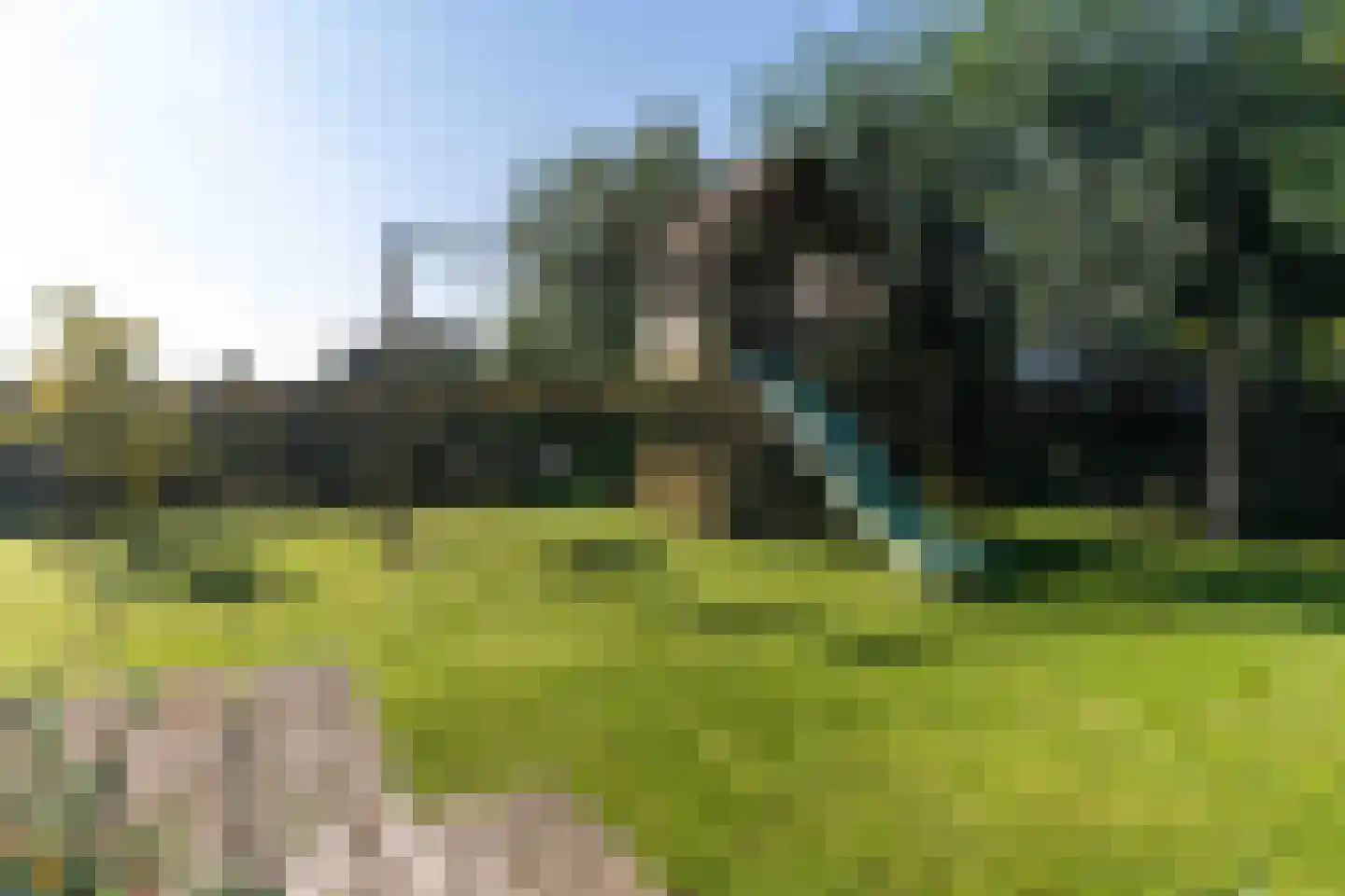 Boomweg 21 Rockanje thumbnail 57