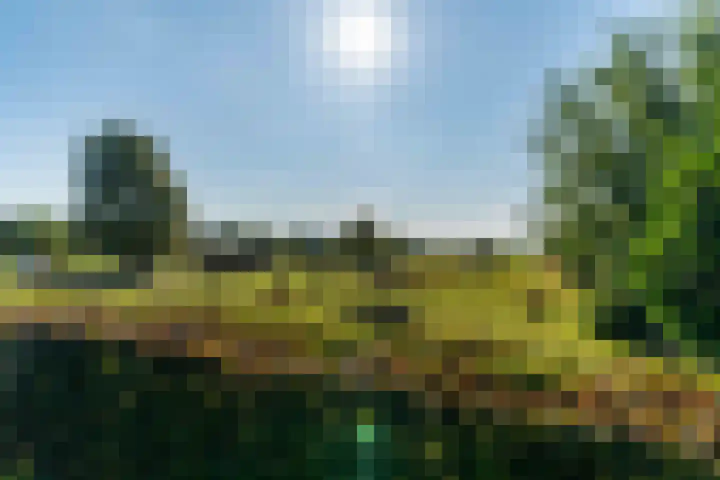 Boomweg 21 Rockanje thumbnail 58