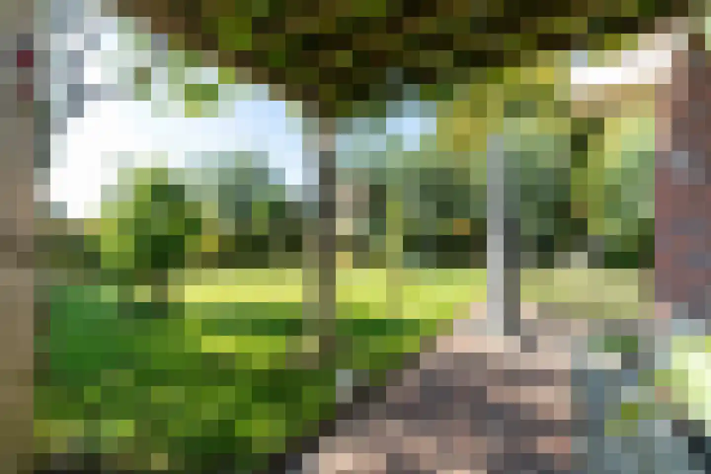 Boomweg 21 Rockanje thumbnail 59