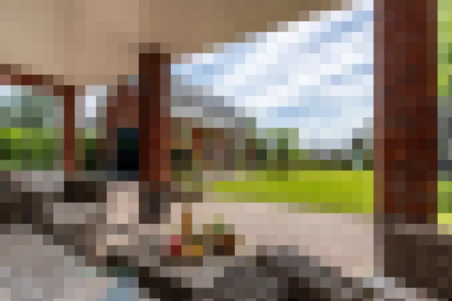 Boomweg 21 Rockanje thumbnail 60