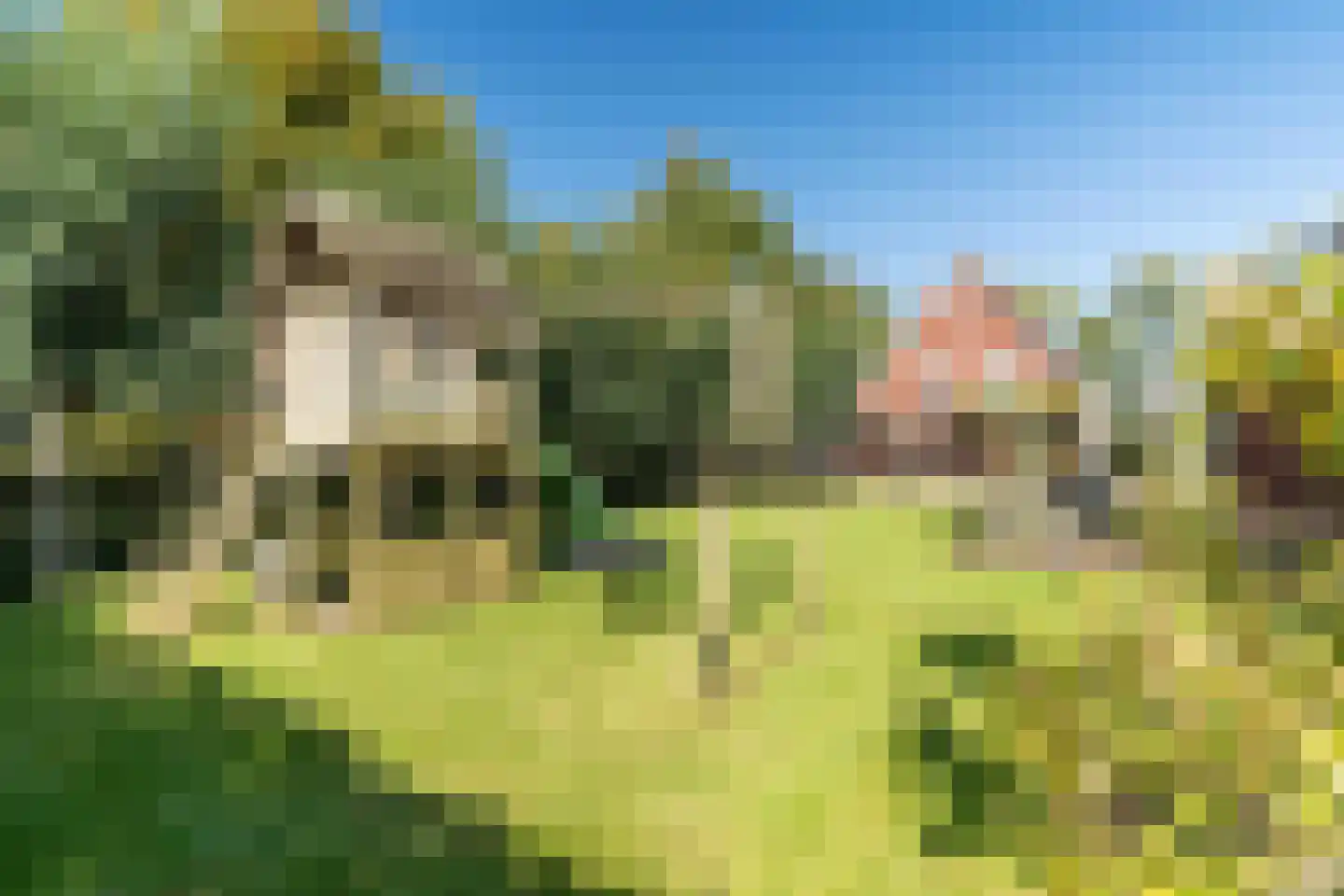 Boomweg 21 Rockanje thumbnail 60