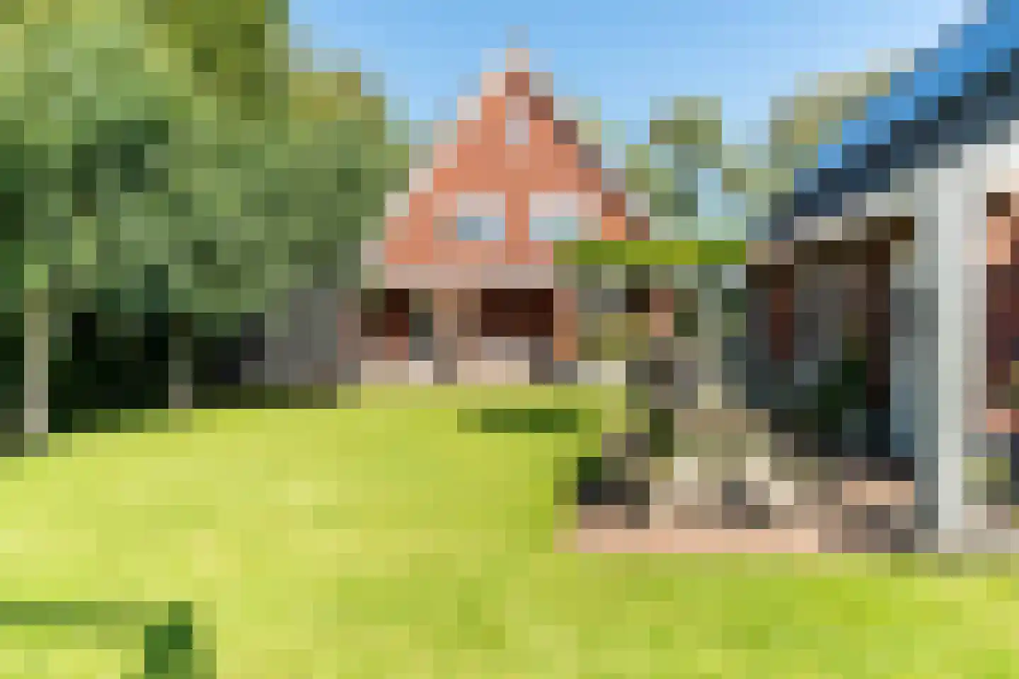 Boomweg 21 Rockanje thumbnail 61