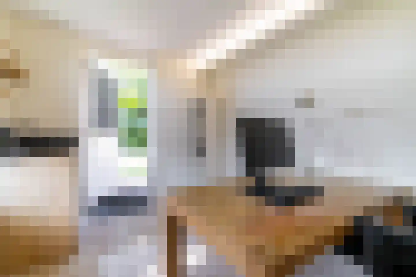 Boomweg 21 Rockanje thumbnail 65