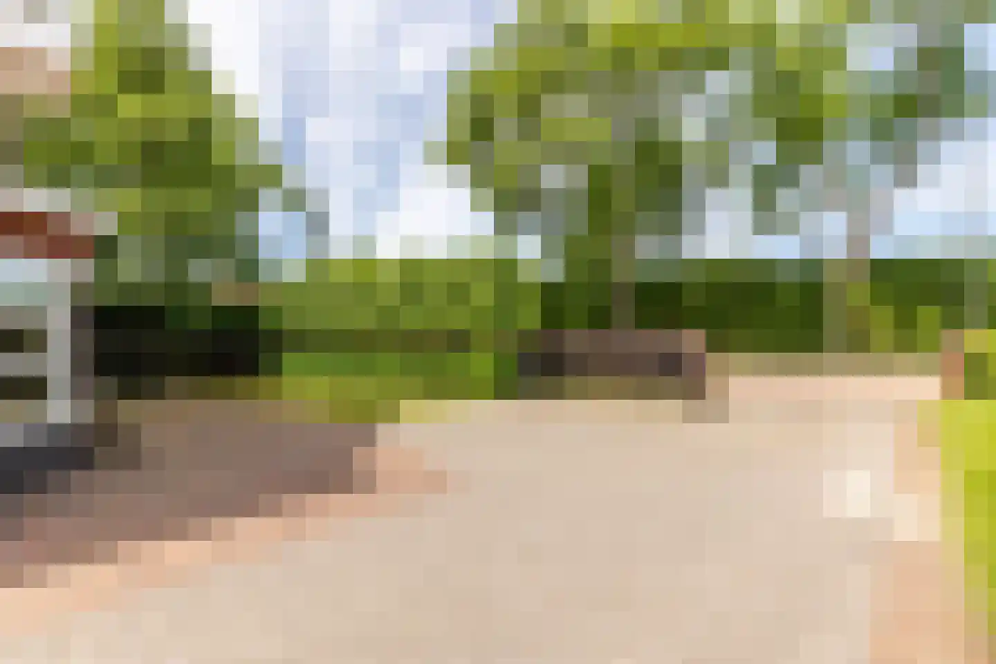 Boomweg 21 Rockanje thumbnail 66