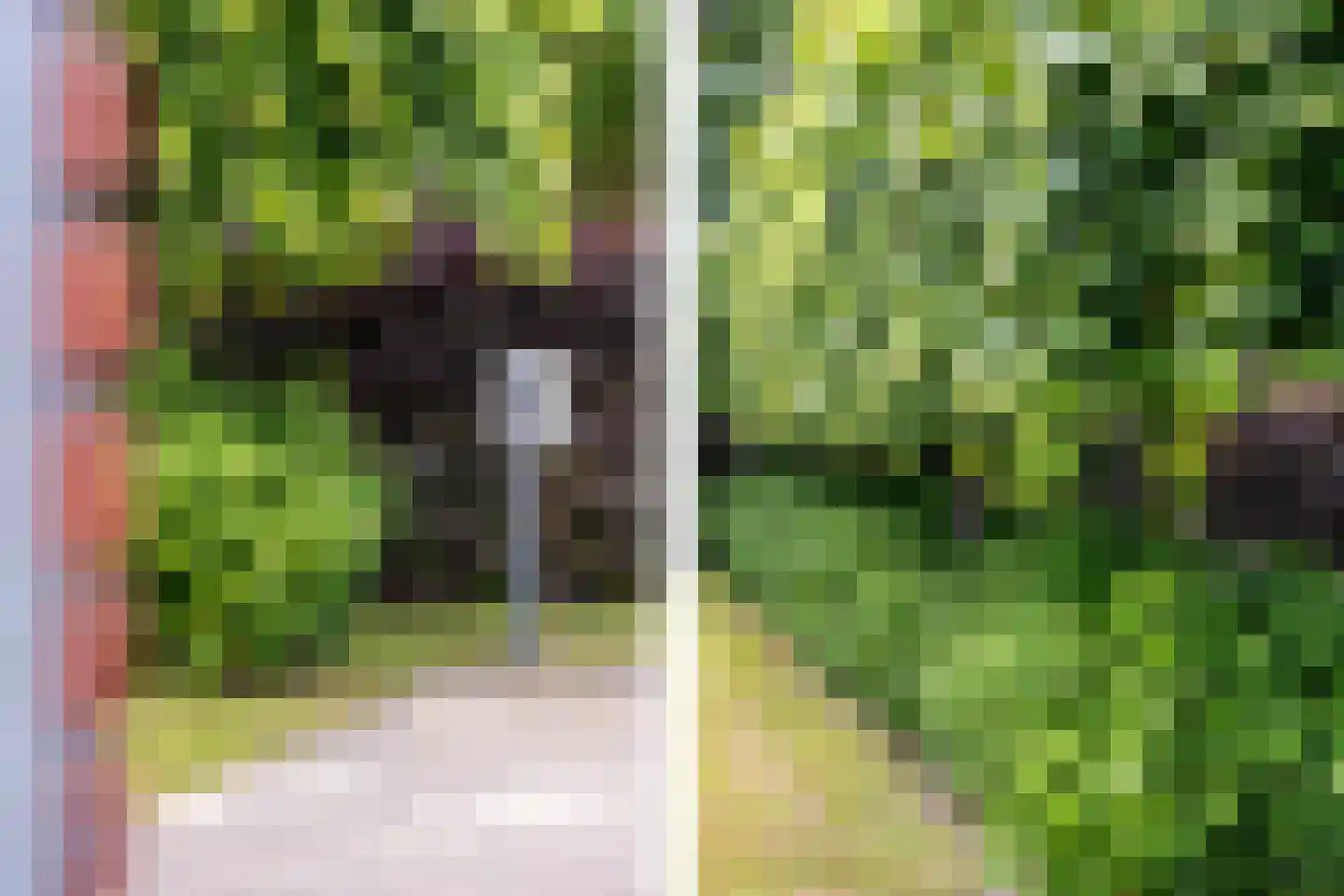 Boomweg 21 Rockanje thumbnail 67