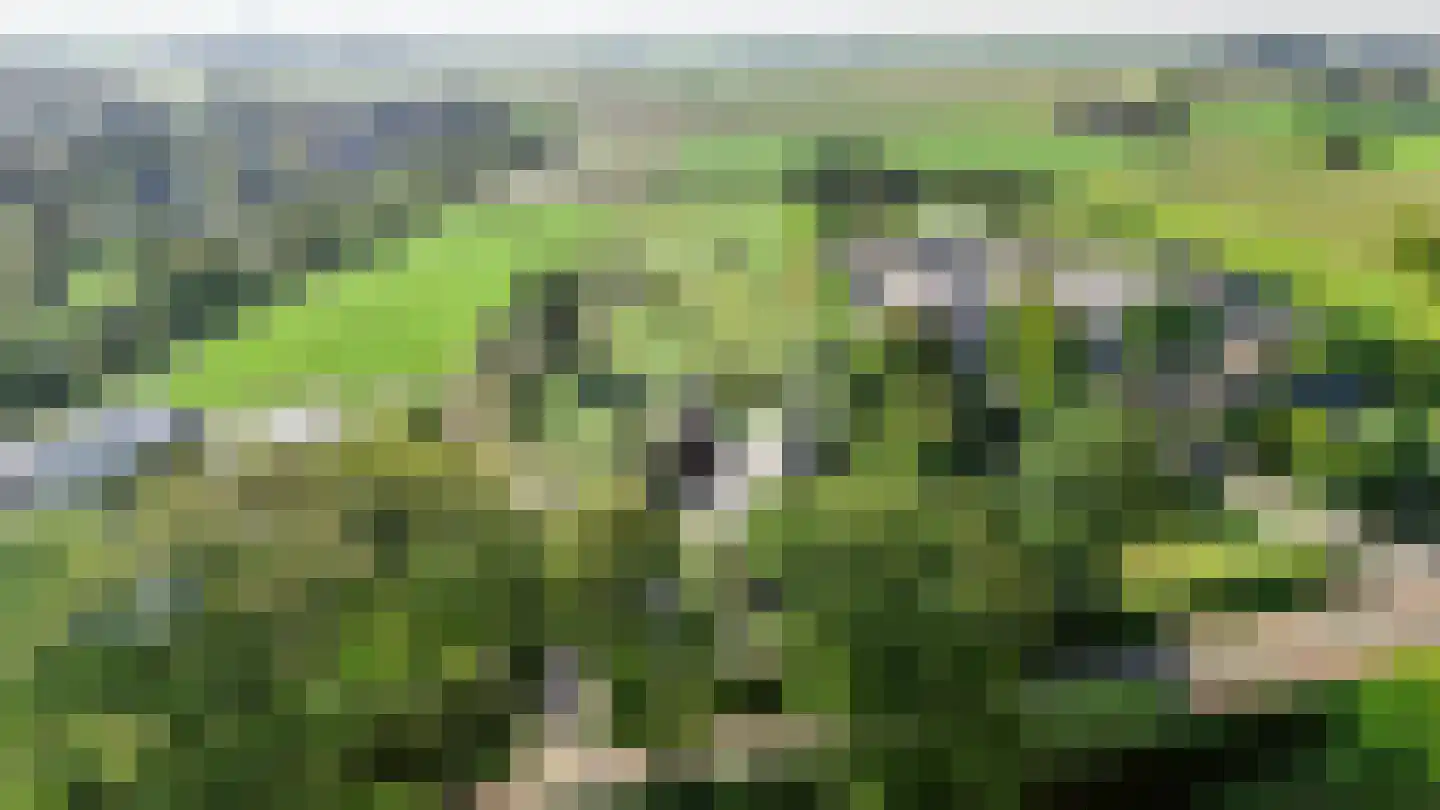 Boomweg 21 Rockanje thumbnail 68
