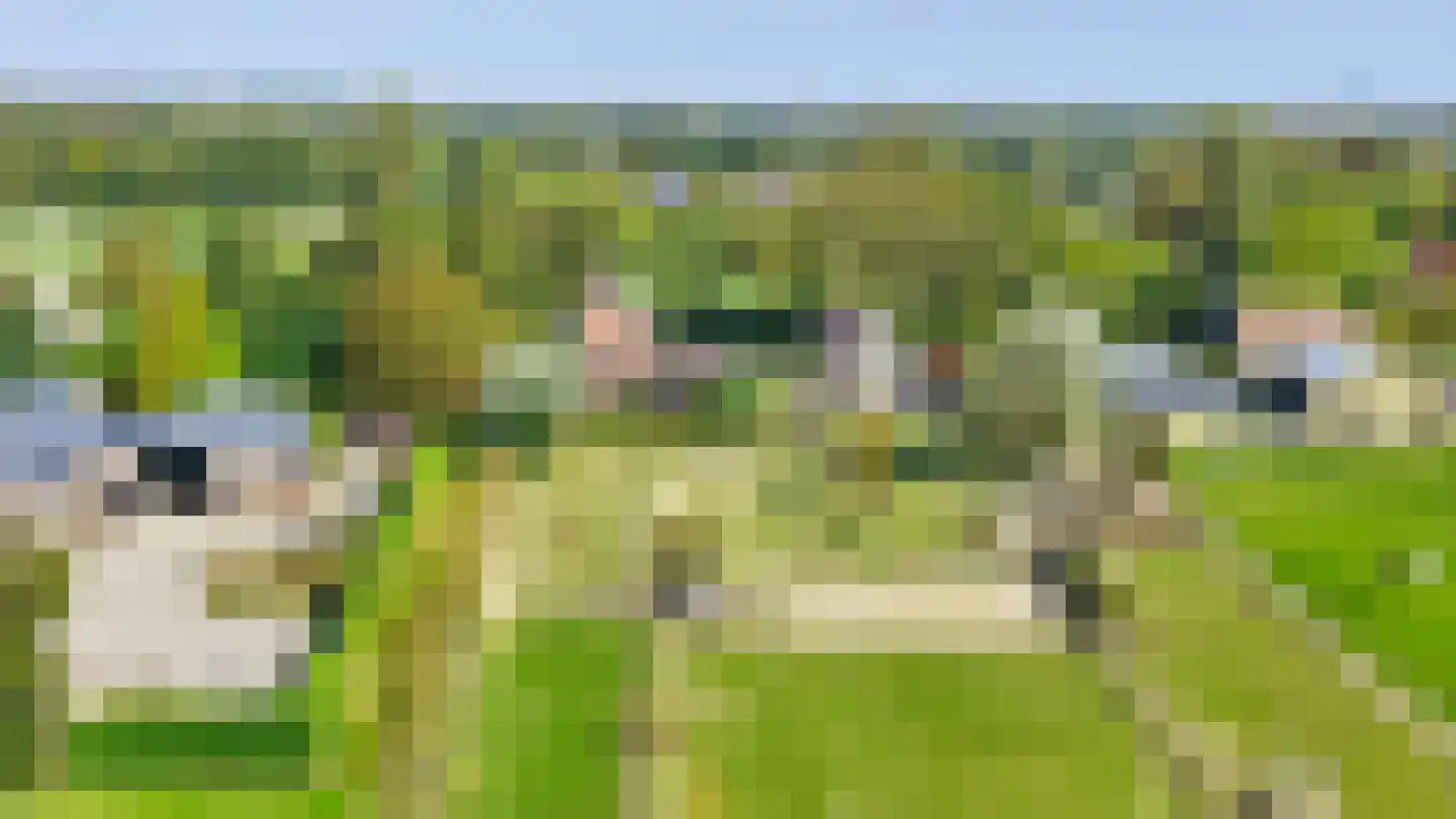 Boomweg 21 Rockanje thumbnail 70