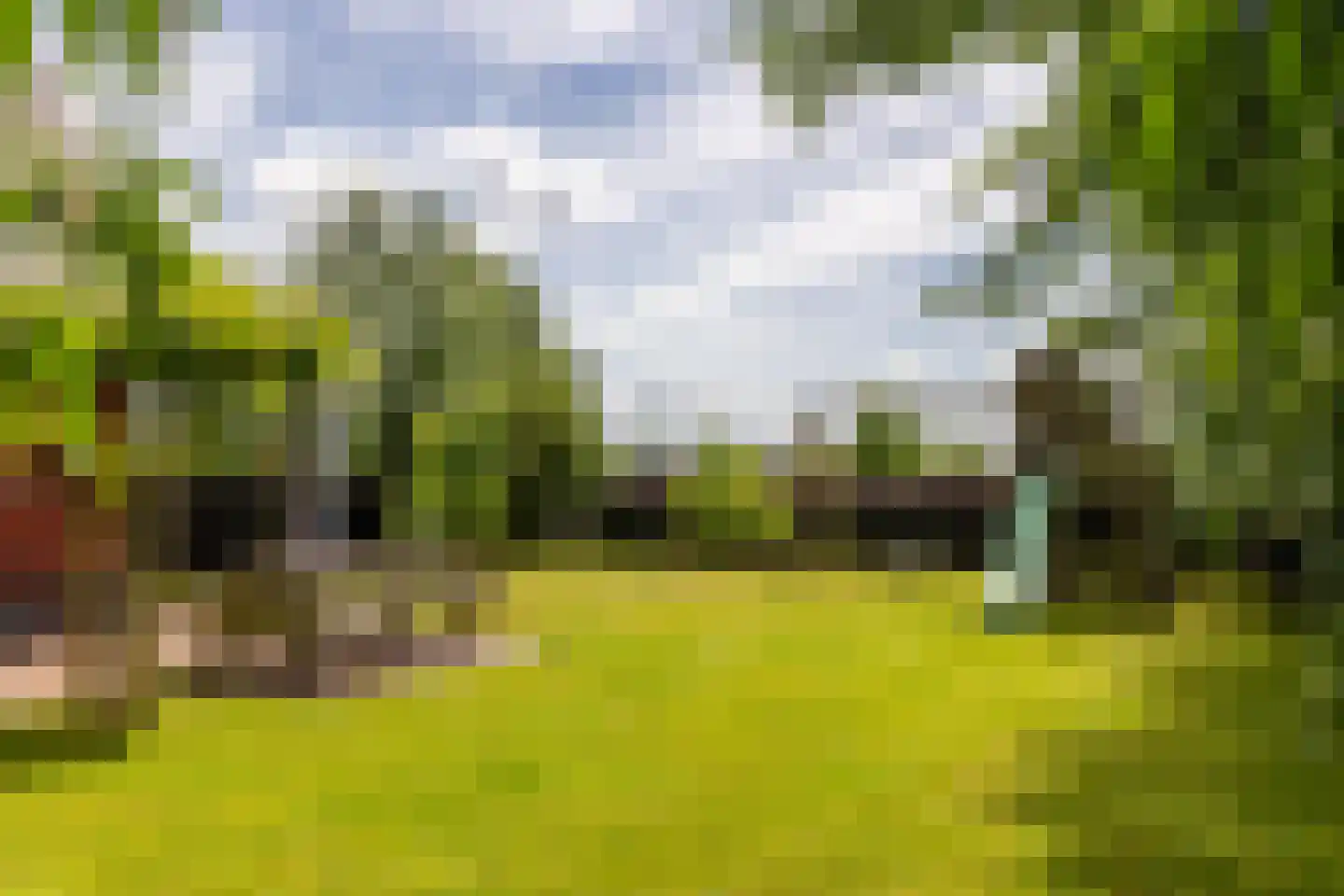 Boomweg 21 Rockanje thumbnail 70
