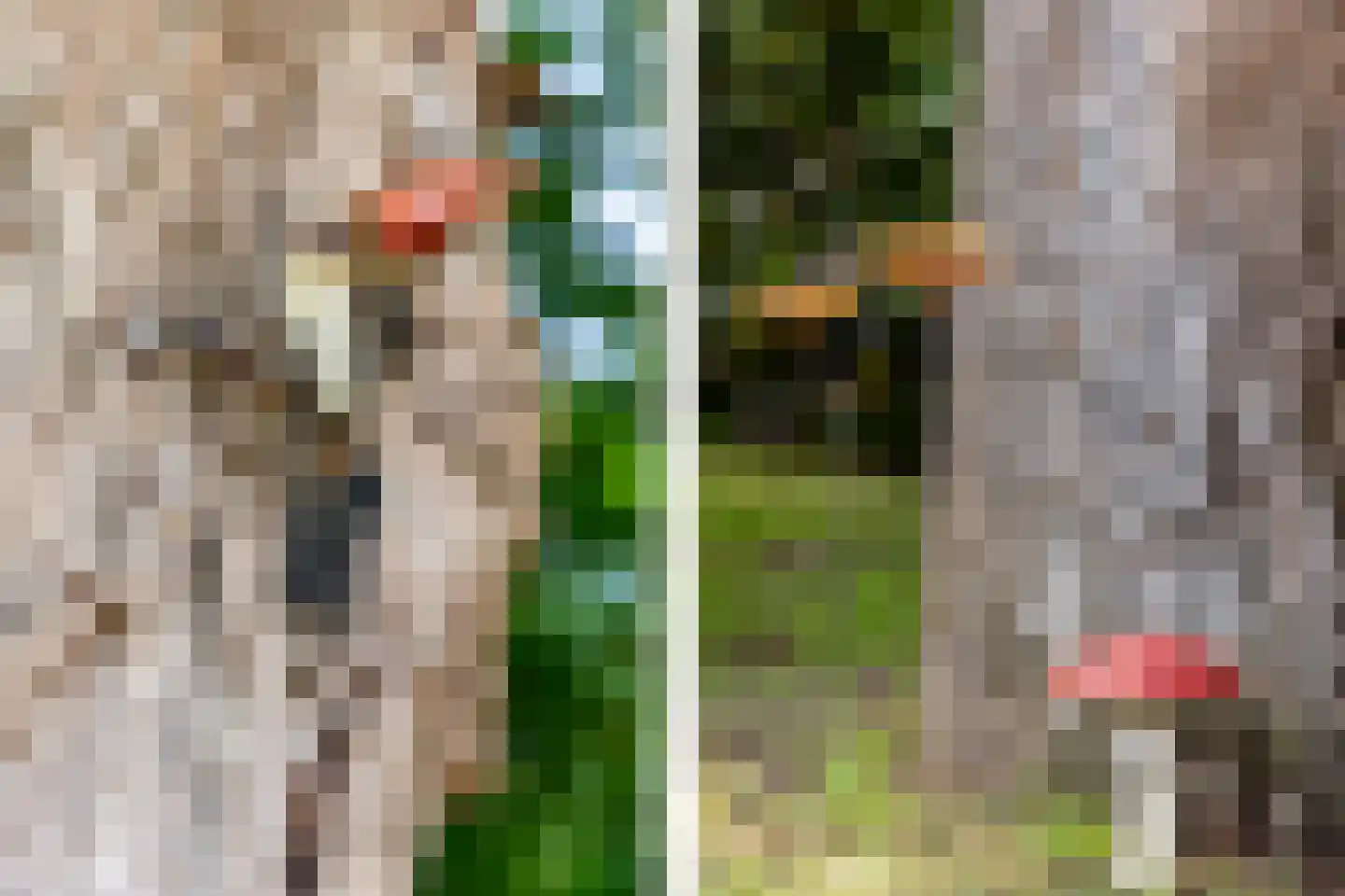 Boomweg 21 Rockanje thumbnail 71