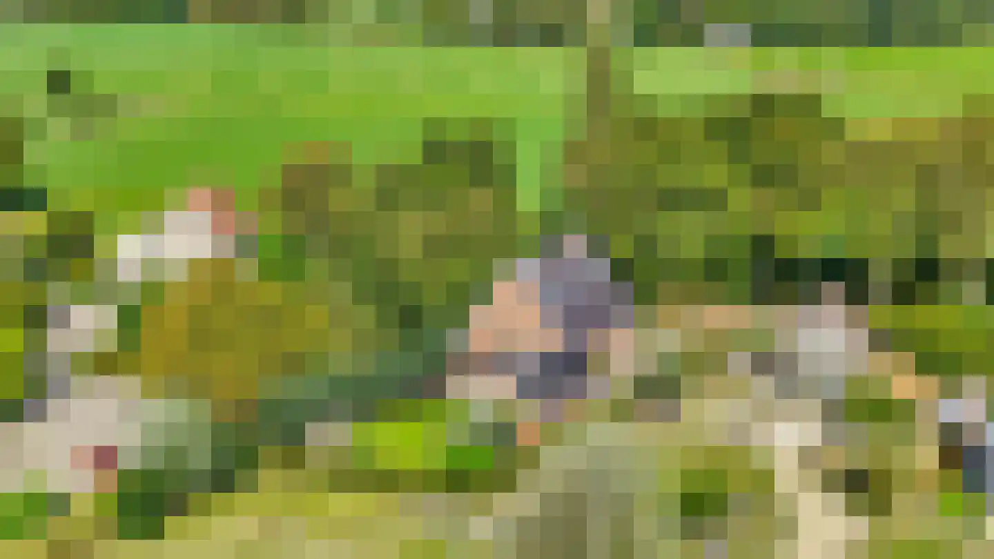 Boomweg 21 Rockanje thumbnail 72