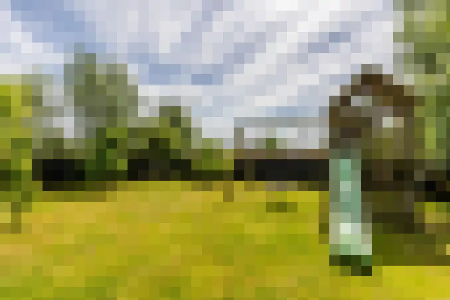 Boomweg 21 Rockanje thumbnail 72