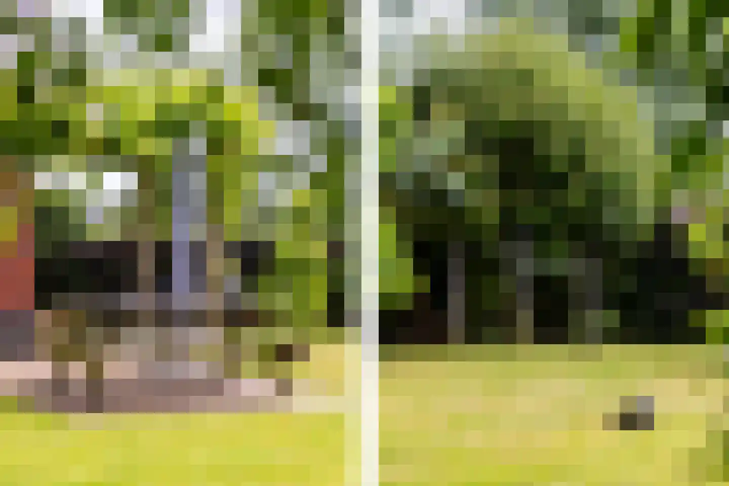 Boomweg 21 Rockanje thumbnail 73