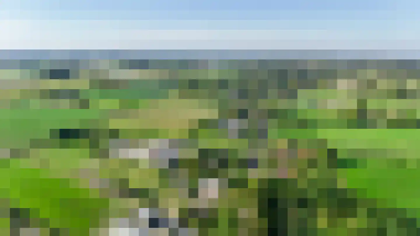 Boomweg 21 Rockanje thumbnail 76