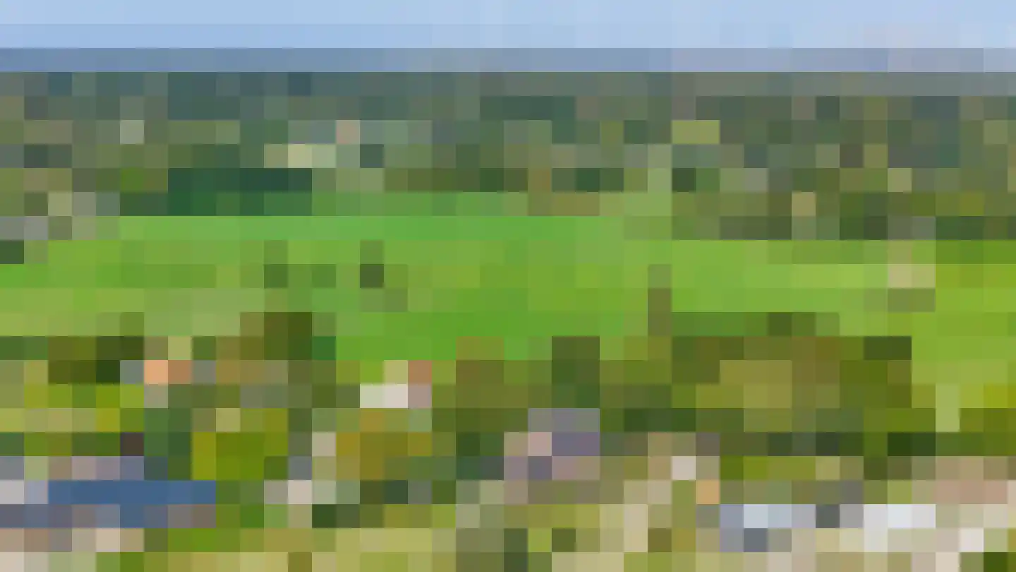 Boomweg 21 Rockanje thumbnail 77