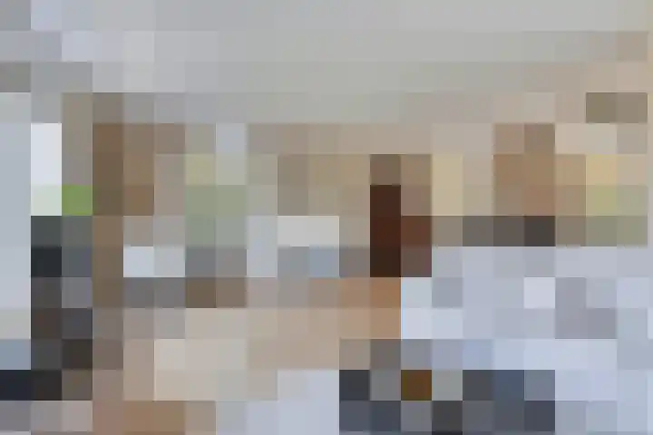 Boomwei 16 Burgh-Haamstede thumbnail 10