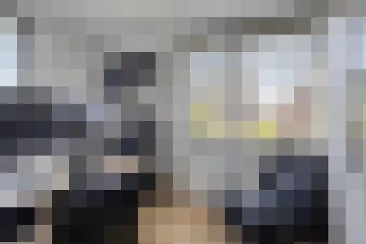 Boomwei 16 Burgh-Haamstede thumbnail 15