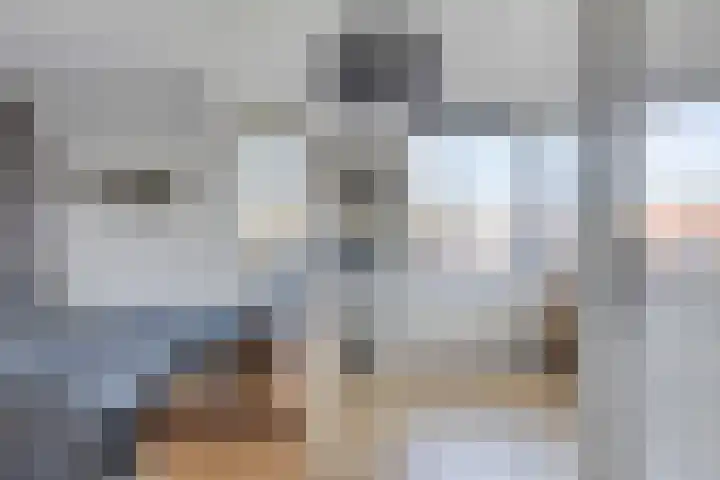 Boomwei 16 Burgh-Haamstede thumbnail 16