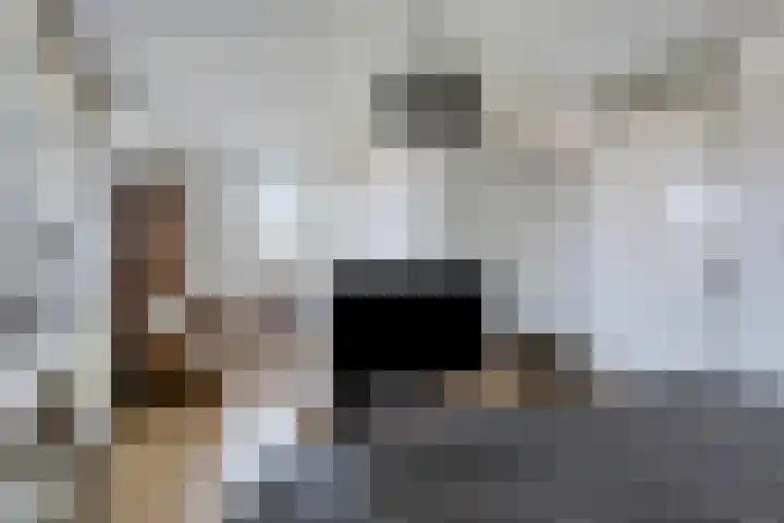 Boomwei 16 Burgh-Haamstede thumbnail 18