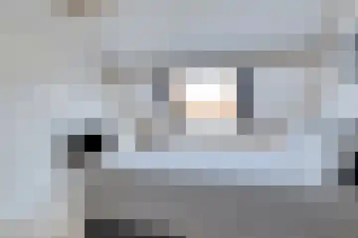 Boomwei 16 Burgh-Haamstede thumbnail 23