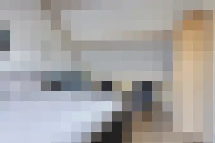 Boomwei 16 Burgh-Haamstede thumbnail 24