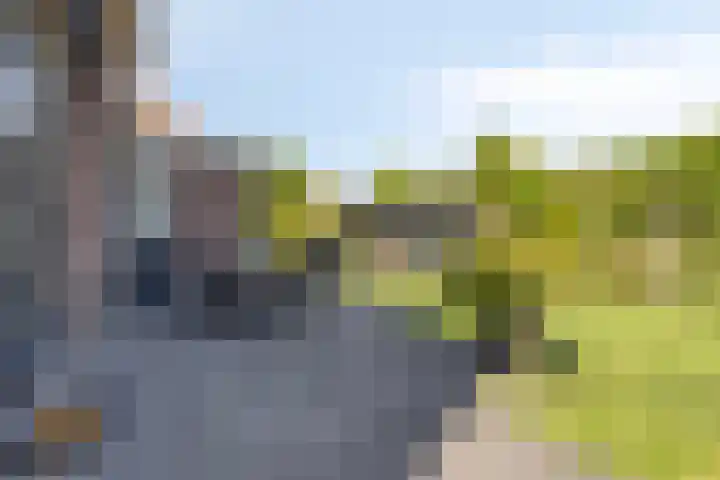 Boomwei 16 Burgh-Haamstede thumbnail 26