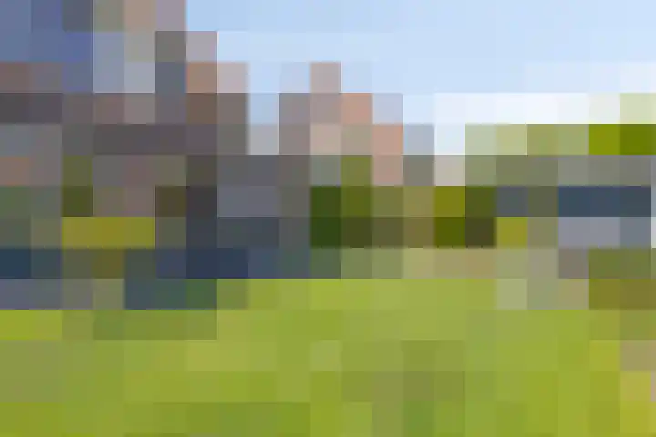 Boomwei 16 Burgh-Haamstede thumbnail 27