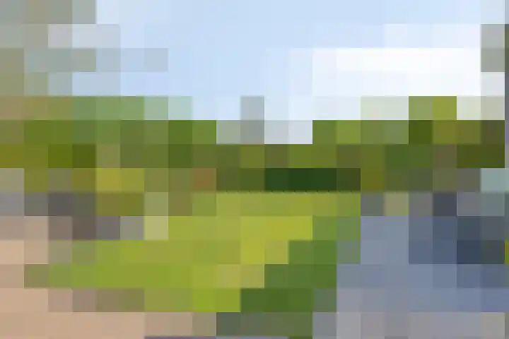 Boomwei 16 Burgh-Haamstede thumbnail 28