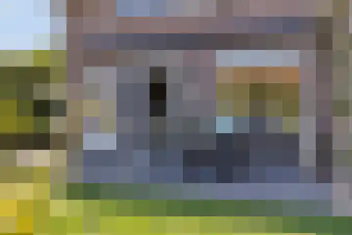 Boomwei 16 Burgh-Haamstede thumbnail 29