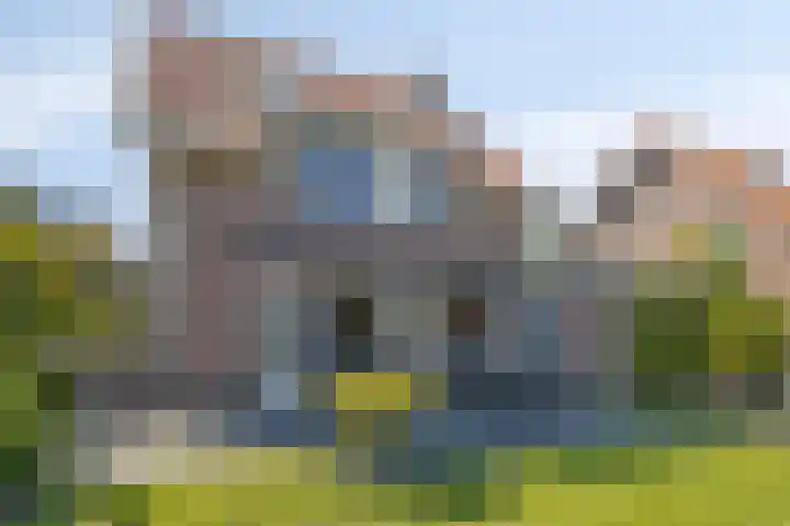 Boomwei 16 Burgh-Haamstede thumbnail 30