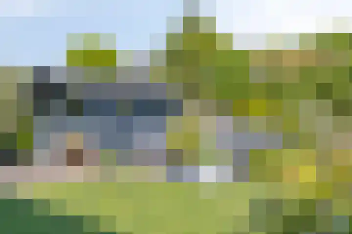 Boomwei 16 Burgh-Haamstede thumbnail 31
