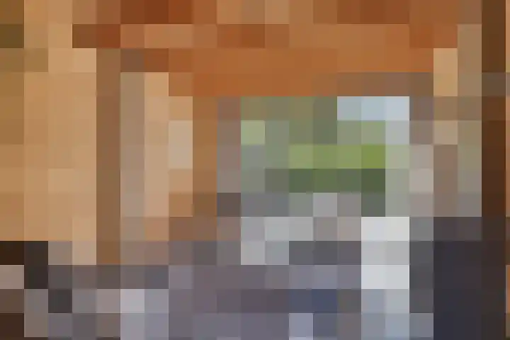 Boomwei 16 Burgh-Haamstede thumbnail 32