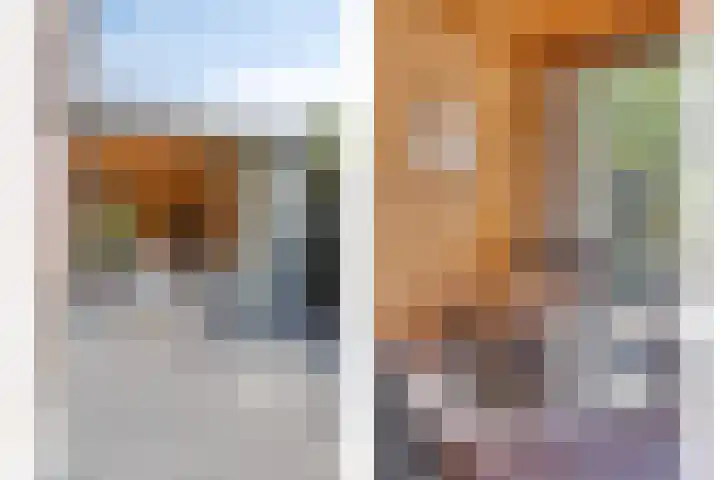 Boomwei 16 Burgh-Haamstede thumbnail 33