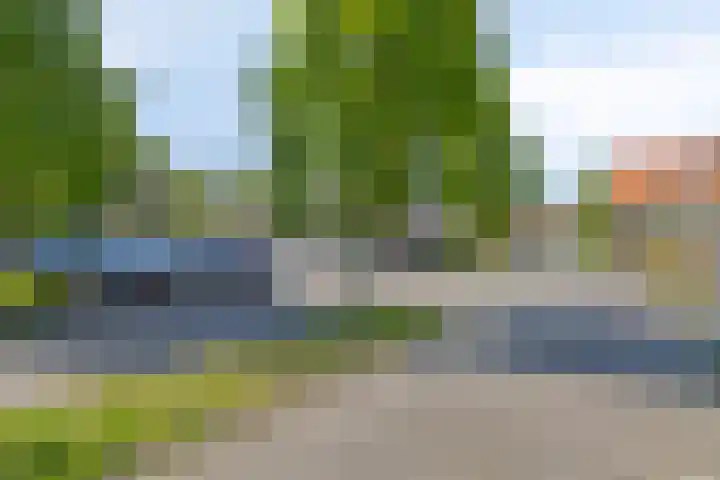 Boomwei 16 Burgh-Haamstede thumbnail 34