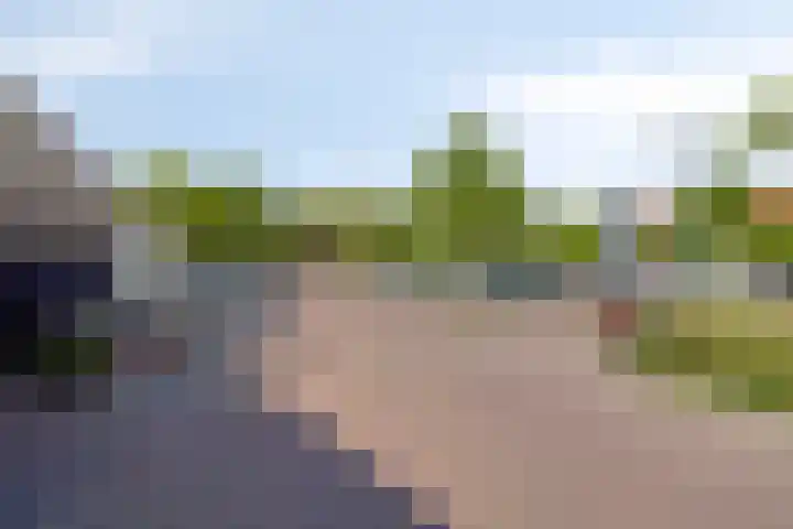 Boomwei 16 Burgh-Haamstede thumbnail 35