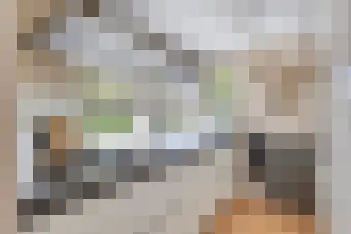 Boomwei 16 Burgh-Haamstede thumbnail 5