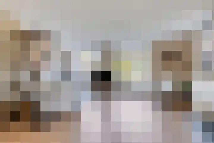 Boomwei 16 Burgh-Haamstede thumbnail 7